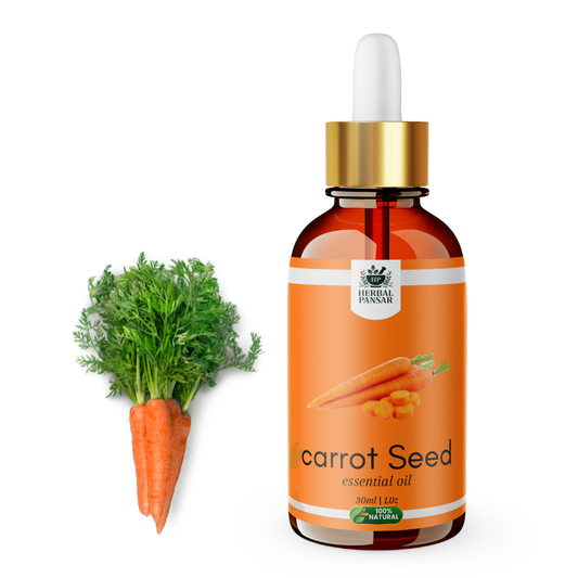 Carrot Essential Oil 30ml