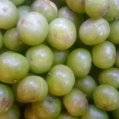 Amla Powder 100gm