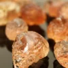 Babool Gum (Kikar Gond) 100gm