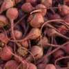 Beetroot Capsules 500mg