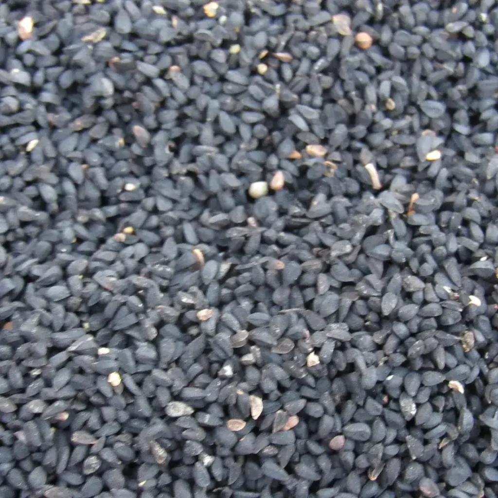 Black Seed Capsules 500mg