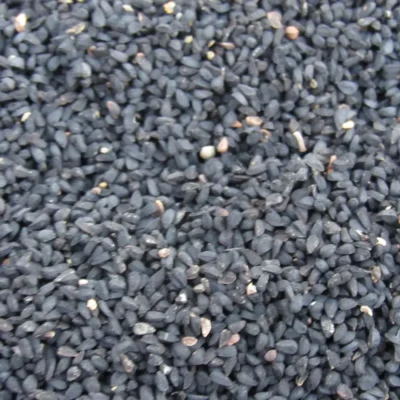 Black Seed Capsules 500mg