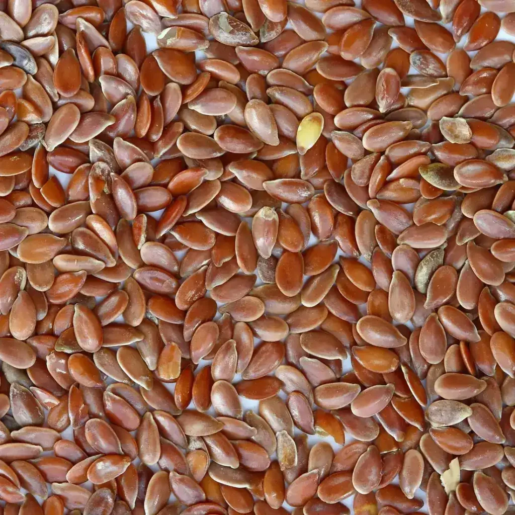 Flax Seeds (Alsi) 500gm
