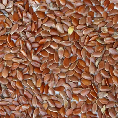 Flax Seeds (Alsi) 500gm