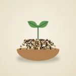 Seeds