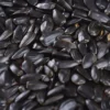 Sunflower Seeds 100gm
