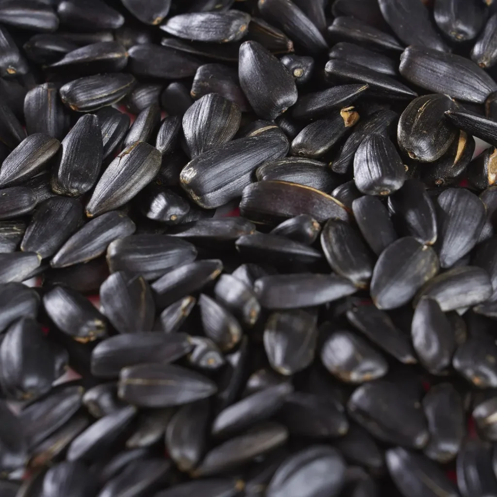 Sunflower Seeds 100gm