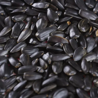 Sunflower Seeds 100gm